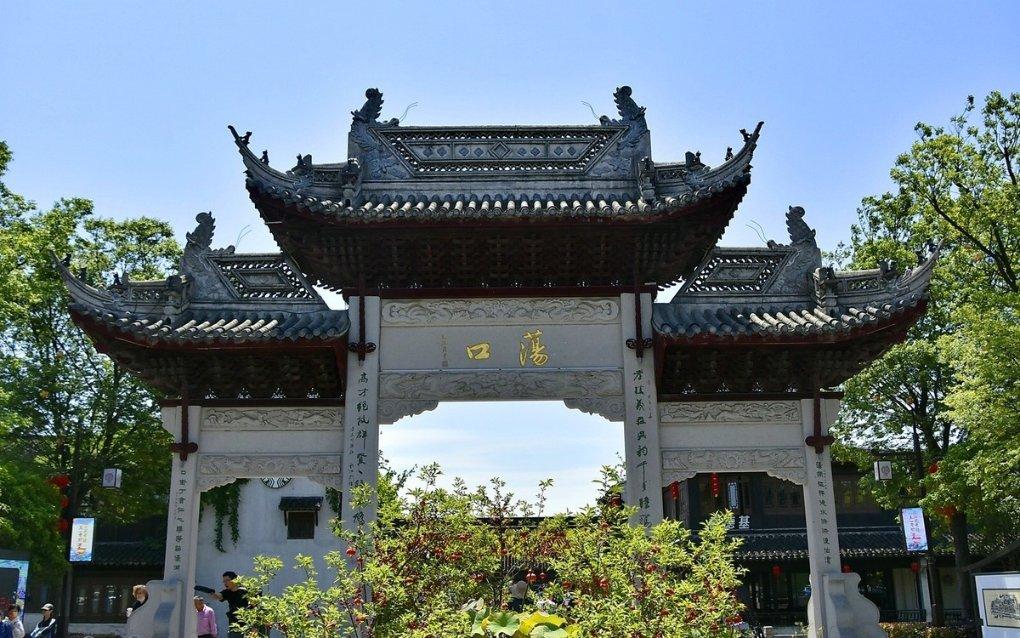 探索土狗的记忆力有多长时间知识星球,解锁无尽智慧